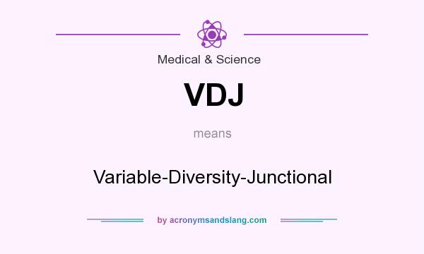 What does VDJ mean? It stands for Variable-Diversity-Junctional