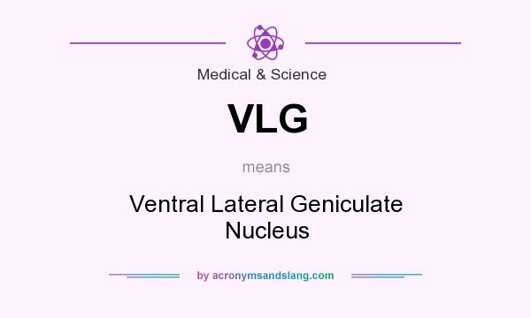 What does VLG mean? It stands for Ventral Lateral Geniculate Nucleus