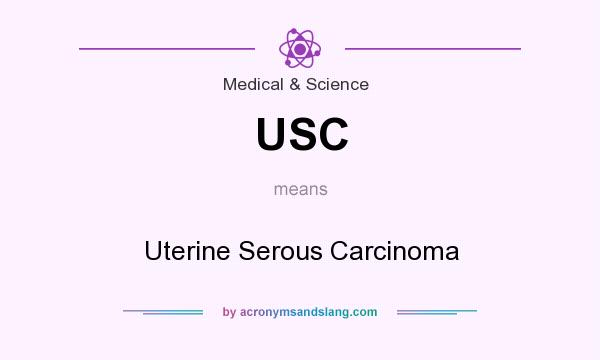 What does USC mean? It stands for Uterine Serous Carcinoma