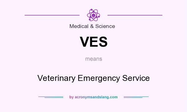 What does VES mean? It stands for Veterinary Emergency Service