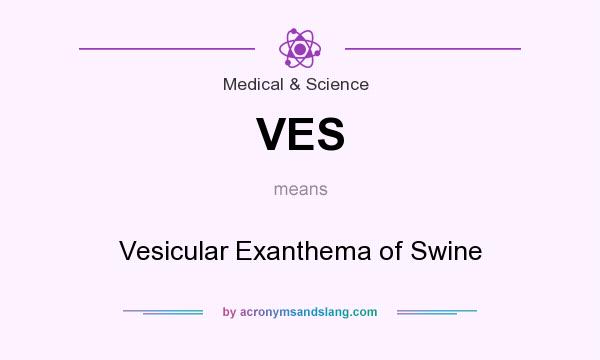 What does VES mean? It stands for Vesicular Exanthema of Swine