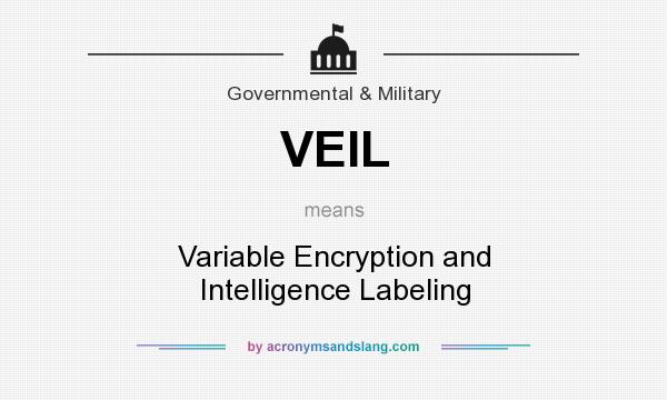 What does VEIL mean? It stands for Variable Encryption and Intelligence Labeling