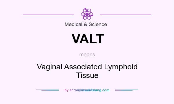 What does VALT mean? It stands for Vaginal Associated Lymphoid Tissue