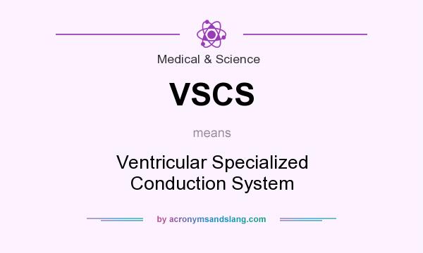 What does VSCS mean? It stands for Ventricular Specialized Conduction System