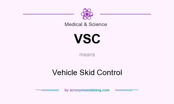 What does VSC mean? It stands for Vehicle Skid Control