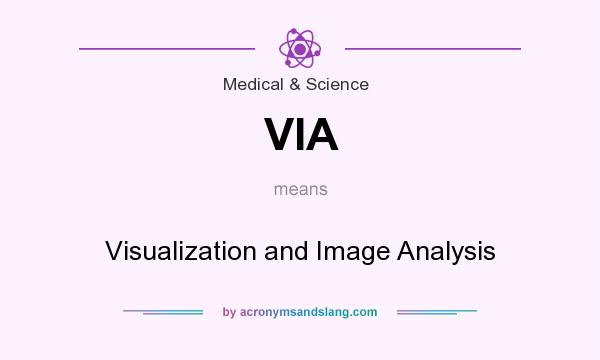 What does VIA mean? It stands for Visualization and Image Analysis