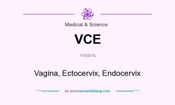 What does VCE mean? It stands for Vagina, Ectocervix, Endocervix