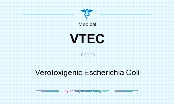 What does VTEC mean? It stands for Verotoxigenic Escherichia Coli