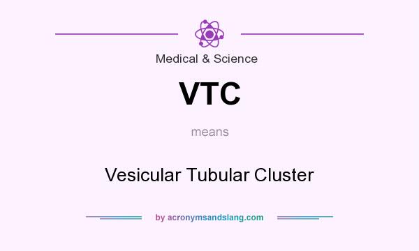 What does VTC mean? It stands for Vesicular Tubular Cluster