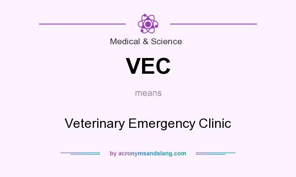 What does VEC mean? It stands for Veterinary Emergency Clinic