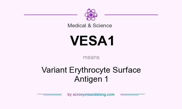 What does VESA1 mean? It stands for Variant Erythrocyte Surface Antigen 1