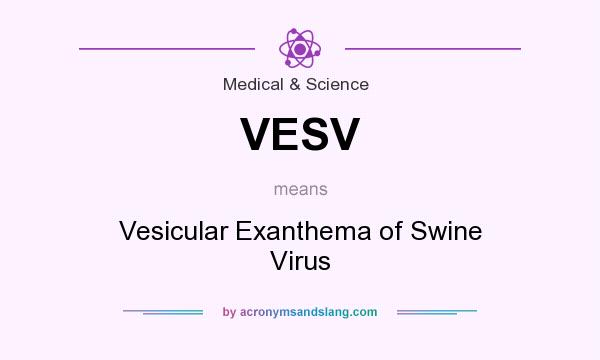 What does VESV mean? It stands for Vesicular Exanthema of Swine Virus