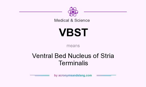 What does VBST mean? It stands for Ventral Bed Nucleus of Stria Terminalis