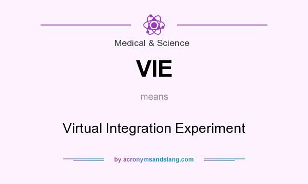 What does VIE mean? It stands for Virtual Integration Experiment