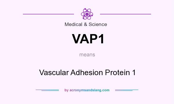 What does VAP1 mean? It stands for Vascular Adhesion Protein 1