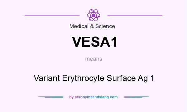 What does VESA1 mean? It stands for Variant Erythrocyte Surface Ag 1