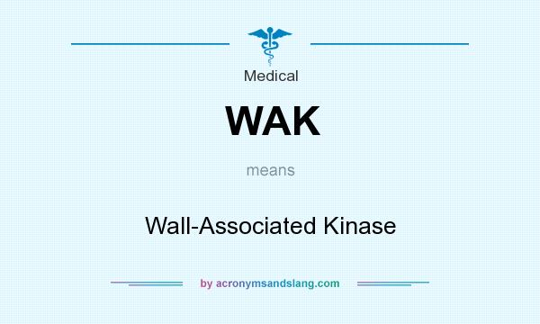 What does WAK mean? It stands for Wall-Associated Kinase