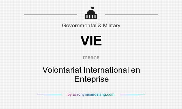 What does VIE mean? It stands for Volontariat International en Enteprise