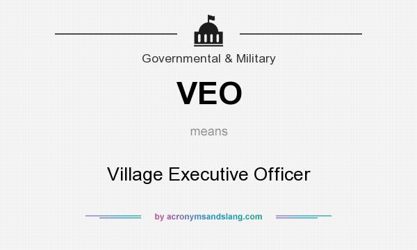 What does VEO mean? It stands for Village Executive Officer