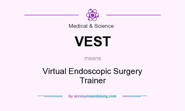 What does VEST mean? It stands for Virtual Endoscopic Surgery Trainer