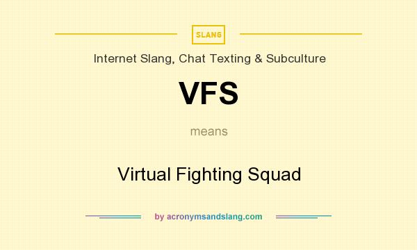 What does VFS mean? It stands for Virtual Fighting Squad
