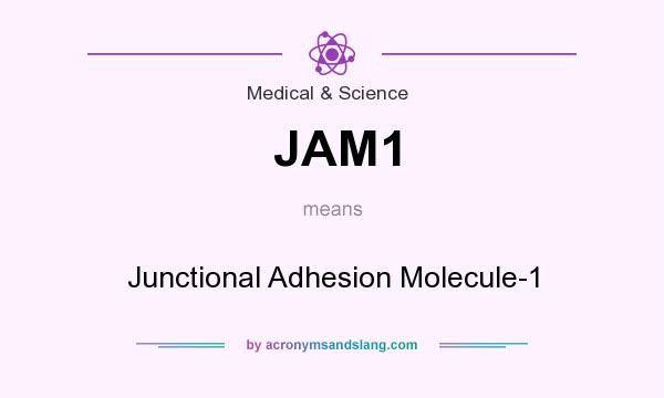 What does JAM1 mean? It stands for Junctional Adhesion Molecule-1