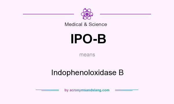 What does IPO-B mean? It stands for Indophenoloxidase B