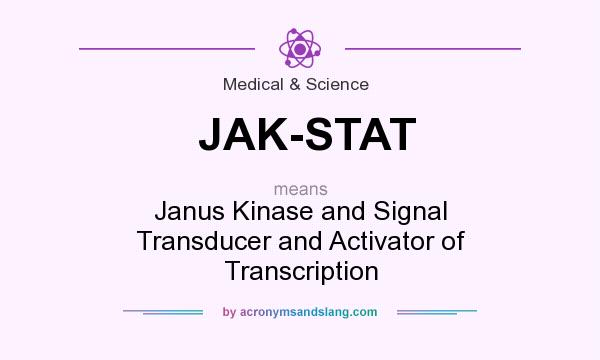 What does JAK-STAT mean? It stands for Janus Kinase and Signal Transducer and Activator of Transcription