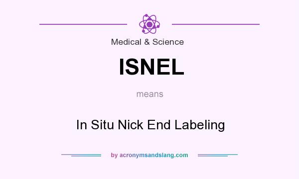 What does ISNEL mean? It stands for In Situ Nick End Labeling
