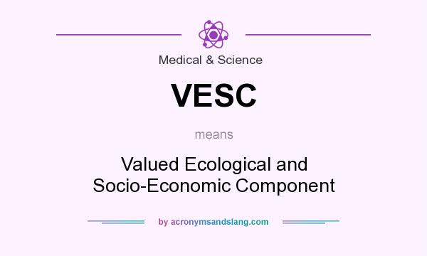 What does VESC mean? It stands for Valued Ecological and Socio-Economic Component