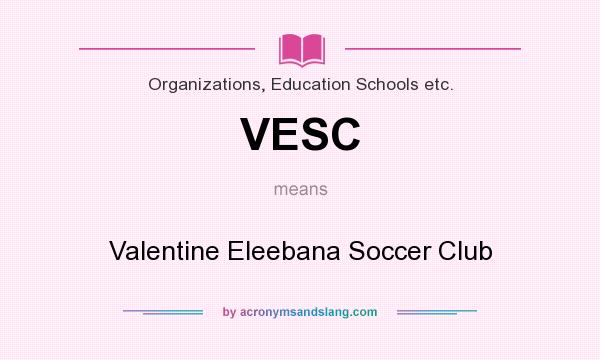 What does VESC mean? It stands for Valentine Eleebana Soccer Club