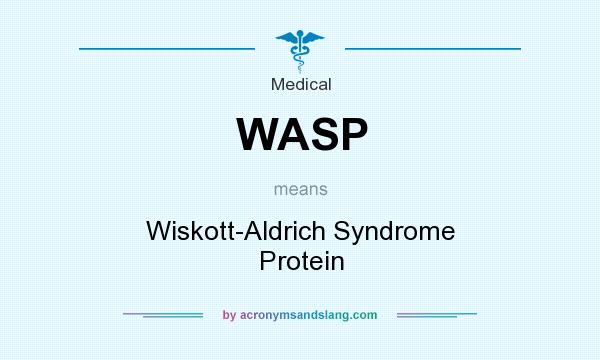 What does WASP mean? It stands for Wiskott-Aldrich Syndrome Protein