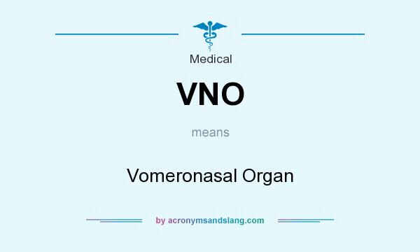 What does VNO mean? It stands for Vomeronasal Organ