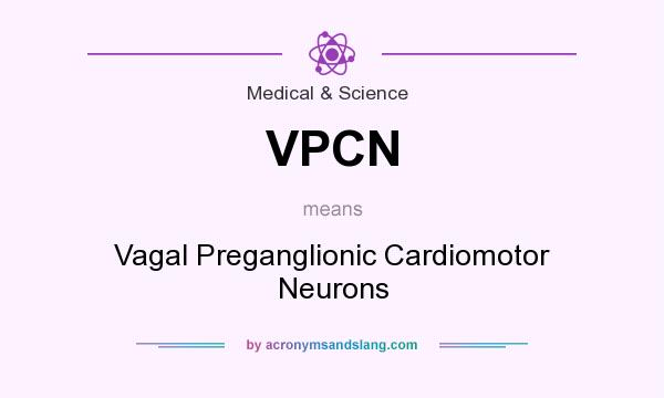 What does VPCN mean? It stands for Vagal Preganglionic Cardiomotor Neurons