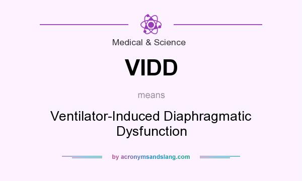 What does VIDD mean? It stands for Ventilator-Induced Diaphragmatic Dysfunction