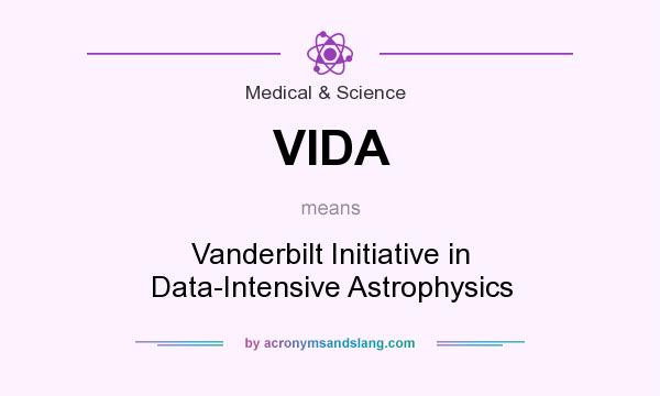 What does VIDA mean? It stands for Vanderbilt Initiative in Data-Intensive Astrophysics
