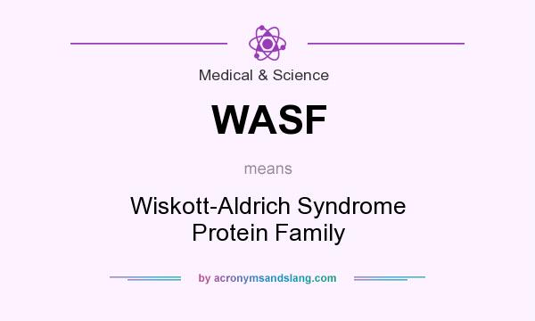 What does WASF mean? It stands for Wiskott-Aldrich Syndrome Protein Family