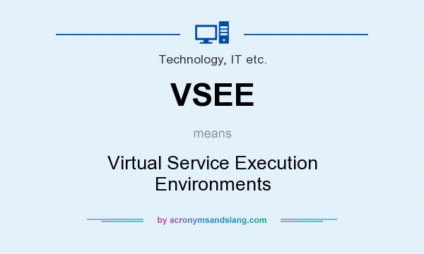 What does VSEE mean? It stands for Virtual Service Execution Environments