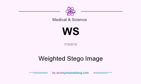 What does WS mean? It stands for Weighted Stego Image