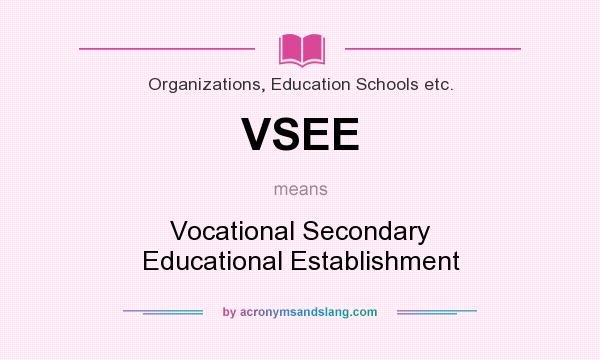 What does VSEE mean? It stands for Vocational Secondary Educational Establishment