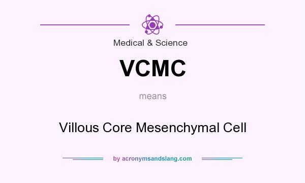 What does VCMC mean? It stands for Villous Core Mesenchymal Cell