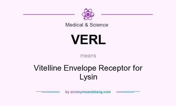 What does VERL mean? It stands for Vitelline Envelope Receptor for Lysin
