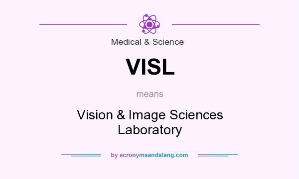 What does VISL mean? It stands for Vision & Image Sciences Laboratory