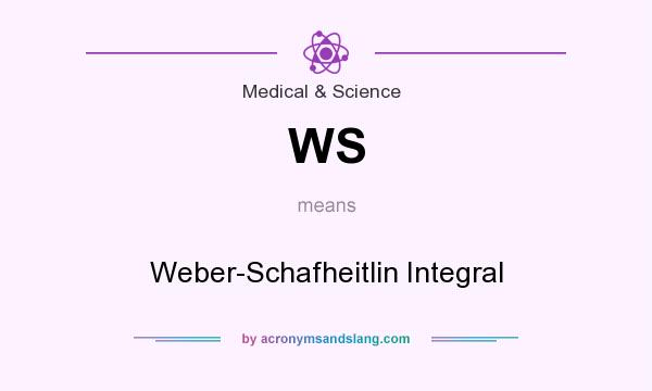 What does WS mean? It stands for Weber-Schafheitlin Integral