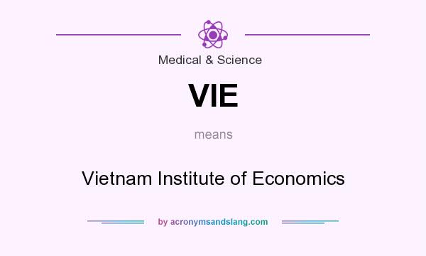 What does VIE mean? It stands for Vietnam Institute of Economics
