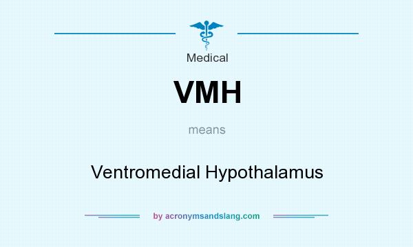 What does VMH mean? It stands for Ventromedial Hypothalamus