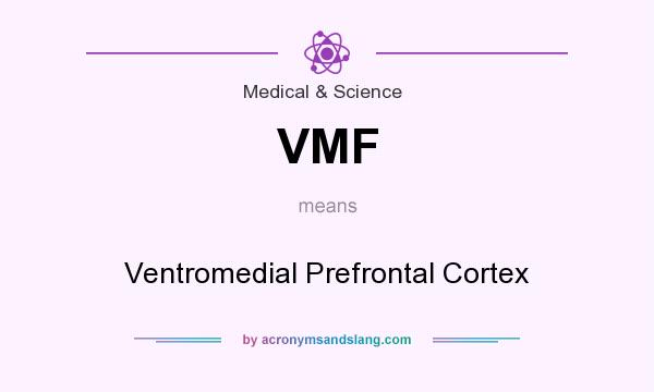 What does VMF mean? It stands for Ventromedial Prefrontal Cortex