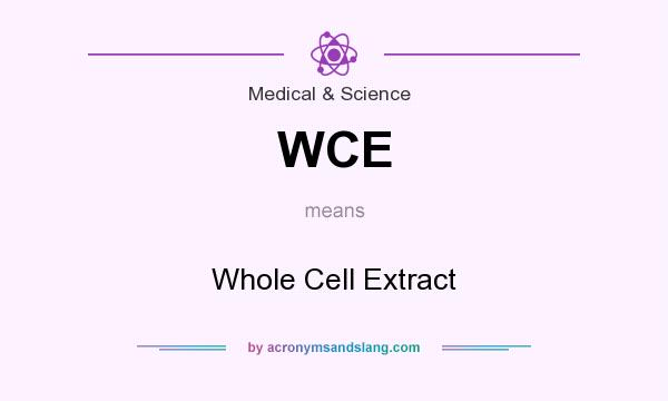 What does WCE mean? It stands for Whole Cell Extract