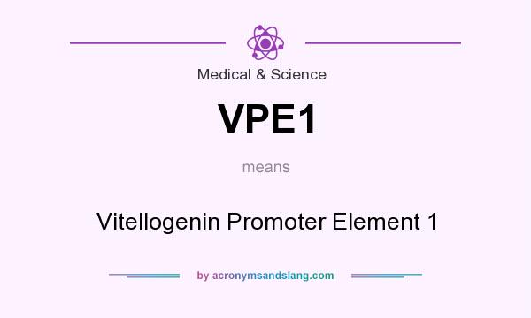 What does VPE1 mean? It stands for Vitellogenin Promoter Element 1