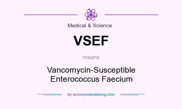 What does VSEF mean? It stands for Vancomycin-Susceptible Enterococcus Faecium